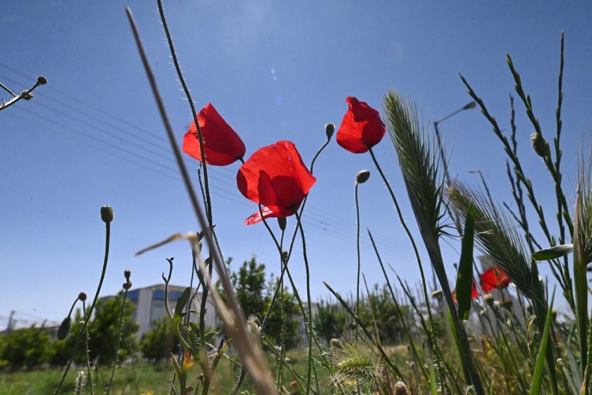 Ξεπέρασε τους 28°C το θερμόμετρο σήμερα στα Τρίκαλα 